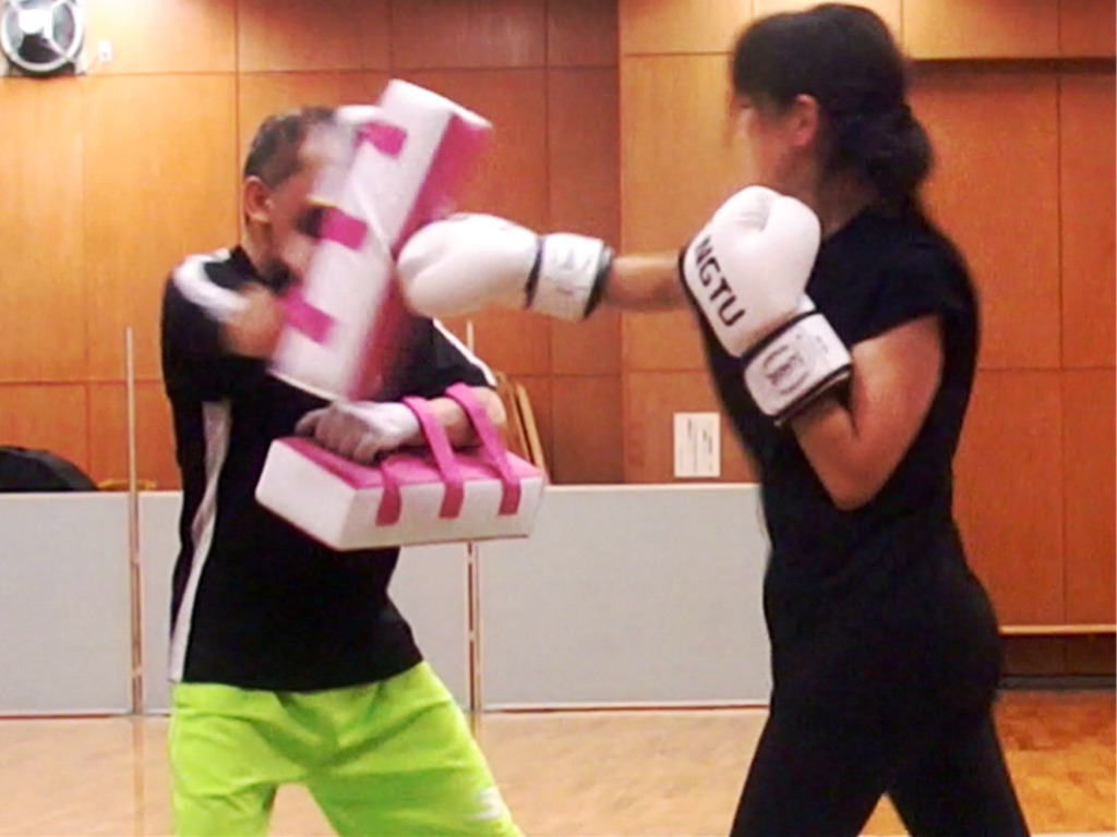 仙台パンチキック愛好会